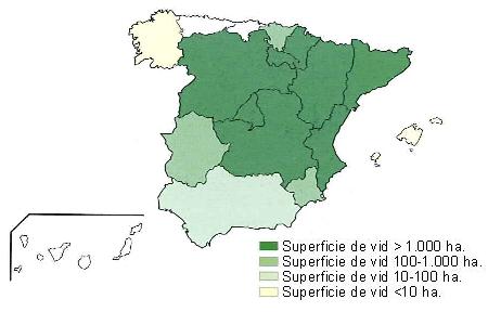 Mapa de Espaa en el que se muestra Catalua, Aragn, Navarra, La Rioja, Castilla Len, Madrid, Comunidad Valenciana y Castilla la Mancha con una superficie de vid superior a 1000 hectreas, Pas Vasco, Murcia  y Extremadura entre 100 y 1000 hectreas, Andaluca de 10 a 100 hectreas y Galicia y Baleares con una superficie de vid inferior a 10 hectreas..