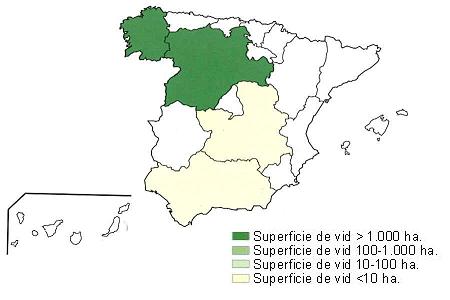 Mapa de Espaa  que muestra Galicia y Castilla Len con una superficie de vid superior a 1000 hectreas, y Andaluca y Castilla la Mancha con una superficie de vid inferior a 10 hectreas..