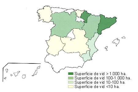 Mapa de Espaa  que muestra Catalua y Navarra con una superficie de vid superior a 1000 hectreas, Castilla Len y Aragn tienen una superficie entre 100 y 1000 hectreas, Comunidad Valenciana y Murcia entre 10 y 100 hectreas, y Extremadura Castilla la Mancha, Galicia y Pas Vasco con una superficie de vid inferior a 10 hectreas..