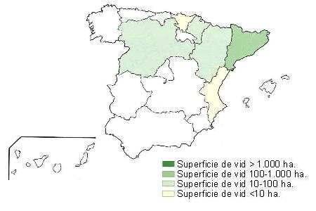 Mapa de Espaa  que muestra Catalua con una superficie de vid superior a 1000 hectreas, Aragn, Navarra, Castilla y Len tiene una superficie entre 100 y 1000 hectreas, y Pas Vasco y Comunidad Valenciana con una superficie de vid inferior a 10 hectreas..