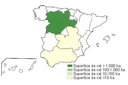 Mapa de Espaa  que muestra Castilla Len con una superficie de vid superior a 1000 hectreas  y Castilla la Mancha y Andaluca con una superficie de vid inferior a 10 hectreas..