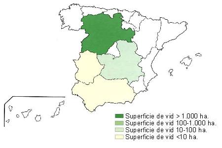 Mapa de Espaa  que muestra Castilla Len con una superficie de vid superior a 1000 hectreas, Castilla la Macha con una superficie de entre 100 y 1000 hectreas y Andaluca y Extremadura con una superficie de vid inferior a 10 hectreas..