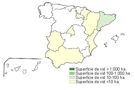 Mapa de Espaa  que muestra Catalua con una superficie de vid entre 100 y 1000 hectreas, Navarra, La rioja, Aragn, Comunidad Valenciana, Madrid, Extremadura y Andaluca con una superficie de vid inferior a 10 hectreas..