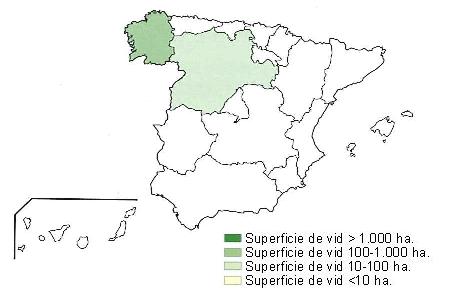 Mapa de Espaa en el que se muestra Galicia con una superficie de vid superior a 1000 hectreas, y Castilla Len con una superficie de vid entre 10 y 100 hectreas.