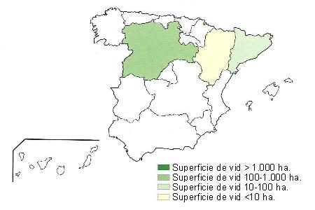 Mapa de Espa�a  que muestra Castilla Le�n con una superficie de vid entre 100 y 1000 hect�reas, Catalu�a, con una superficie de vid entre 10 y 100 hect�reas, y Arag�n con una superficie de vid inferior a 10 hect�reas..