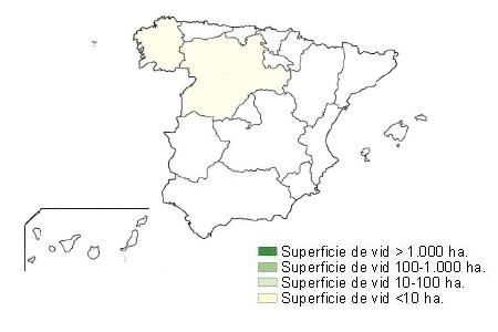 Mapa de Espaa  en el que se muestra la superficie de vid variedad Brancellao por hectreas,  la comunidad de Galicia y Castilla Len tiene una superficie de menos de 10 hectreas.