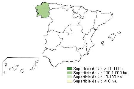 Mapa de Espaa  que muestra Galicia con una superficie de vid superior a 1000 hectreas.