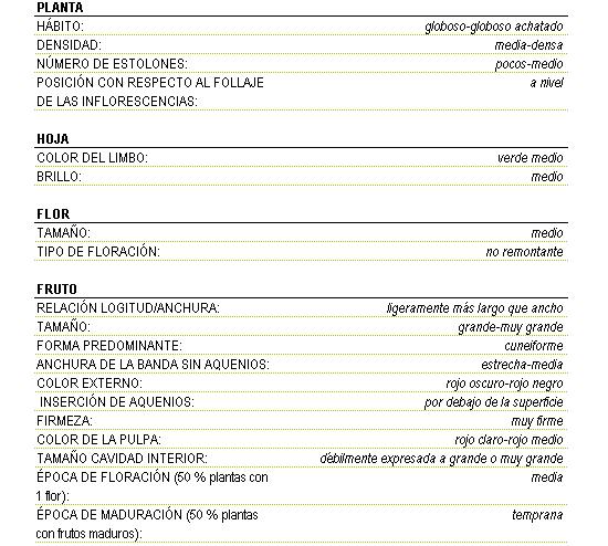 Planta de hbito globoso a globoso achatado de densidad de media a densa de pocos a medio nmero de estolones y posicionada a nivel con respecto al follaje de las inflorescencias. La hoja tiene verde medio el color del limbo con brillo medio, la flor es de tamao medio y tipo de floracin no remontante. El fruto es ligeramente ms largo que ancho de tamao grande a muy grande y forma cuneiforme de estrecha a media de la banda sin aquenios color externo rojo oscuro a rojo negro, la insercin de aquenios es por debajo de la superficie, muy firme la pulpa es de color rojo claro a rojo medio, el tamao de la cavidad interior es dbilmente expresada a grande o muy grande, la poca de floracin  del 50 por ciento plantas con una flor es media, y la poca de maduracin de 50 por ciento plantas con frutos maduras es temprana.