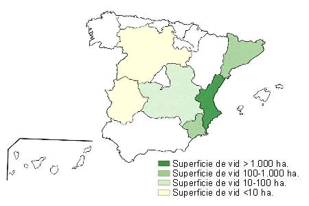 Mapa de Espaa que muestra Comunidad Valenciana con una superficie de vid superior a 1000 hectreas, Catalua y Murcia tienen una superficie entre 100 y 1000 hectreas, Castilla la Mancha entre 10 y 100 hectreas, y Extremadura Castilla Len con una superficie de vid inferior a 10 hectreas..
