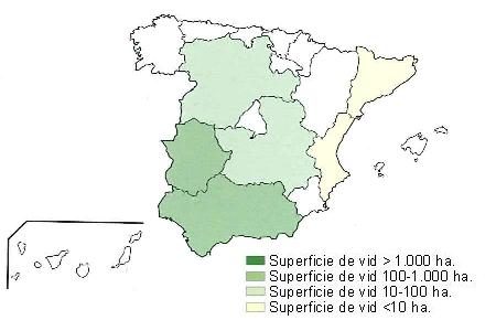 Mapa de Espaa  que muestra Andaluca y Extremadura con una superficie de vid entre 100 y 1000 hectreas, Castilla la Mancha y Castilla Len entre 10 y 100 hectreas, Catalua y Comunidad Valenciana con una superficie de vid inferior a 10 hectreas..
