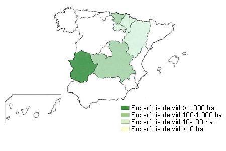 Mapa de España  en el que se muestra Extremadura con una superficie de vid de más de 1000 hectáreas, País Vasco y Castilla la Mancha con una superficie entre 100 y 1000 hectáreas y Aragón Navarra y la Rioja entre 10 y 100 hectáreas.
