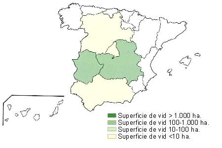 Mapa de Espa�a  que muestra Extremadura, Castilla la Mancha con una superficie de vid entre 100 y 1000 hect�reas y Castilla Le�n, Madrid y Andaluc�a con una superficie de vid inferior a 10 hect�reas.