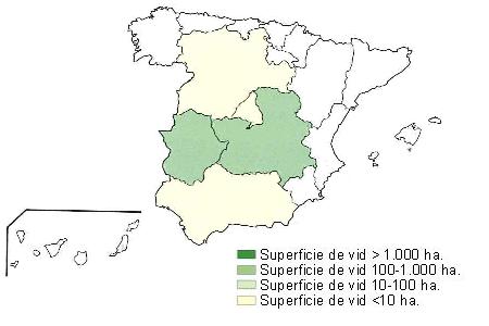 Mapa de Espaa  que muestra Extremadura, Castilla la Mancha con una superficie de vid entre 100 y 1000 hectreas y Castilla Len, Madrid y Andaluca con una superficie de vid inferior a 10 hectreas.