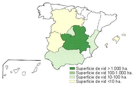 Mapa de España que muestra  Castilla la Mancha con una superficie de vid superior a 1000 hectáreas, Comunidad Valenciana, Madrid y Andalucía con una superficie entre 10 y 100 hectáreas, y Castilla León, Extremadura y Baleares con una superficie de vid inferior a 10 hectáreas..