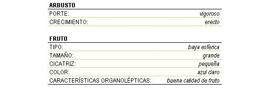 Los caracteres morfolgicos de la variedad Bluecrop son, arbusto vigoroso de crecimiento erecto. Fruto tipo baya esfrica grande, con cicatriz pequea, color azul claro y buena calidad.