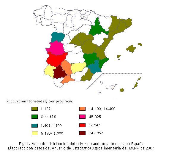 Mapa de Espaa de distribucin del olivar de aceituna de mesa elaborado con datos del anuario de estadstica agroalimentaria del ministerio de 2007, en el que observa Madrid, Guadalajara, Cuenca, Valencia, Castelln, Tarragona, Barcelona, Lleida, Girona, Baleares, Canarias y Almera con una produccin entre 1 y 129 toneladas por provincia, Alicante, Albacete y Zaragoza entre 344 y 618 toneladas, Murcia y Salamanca entre 1409 y 1900 toneladas, Huelva y Jan entre 5190 y 6000 toneladas, Mlaga y Crdoba entre 14100 y 14400 toneladas, Cceres con 45325 toneladas, Badajoz 62547 toneladas y Sevilla 242952 toneladas.