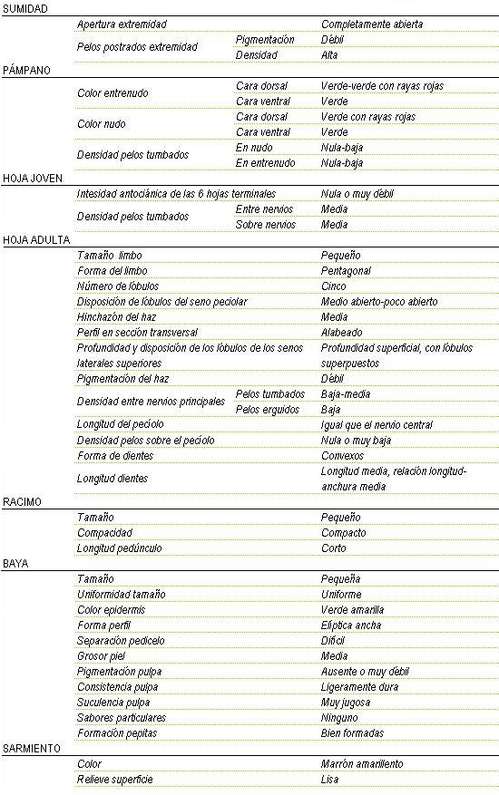 Racimo de tama�o peque�o, compacto y longitud de ped�nculo corto. La baya es peque�a y uniforme, color de la epidermis verde amarilla, forma eliptica ancha, separaci�n pedicelo dificil, grosor de piel media, pigmentaci�n de la pulpa ausente o muy d�bil, consistencia ligeramente dura y muy jugosa, sin sabor particular y pepitas bien formadas. Sarmiento de color marr�n amarillento y relieve de superficie lisa. Sumidad: apertura de extremidad completamente abierta, los pelos postrados en extremidad tienen una pigmentaci�n d�bil y una densidad alta. Pampano: el color del entrenudo en la cara dorsal es verde a verde con rayas rojas y en la ventral verde,  el color del  nudo en la cara dorsal es verde con rajas rojas y en la cara ventral verde, la densidad de pelos tumbados en el nudo es nula a baja y en el entrenudo nula a baja. La hoja joven tiene una intensidad antoci�nica de las 6 hojas terminales nula o muy d�bil,  la densidad de pelos tumbados entre nervios media y sobre nervios media. La hoja adulta tiene el tama�o del limbo peque�o de forma pentagonal, cinco l�bulos, disposici�n de l�bulos del seno peciolar medio abierto a poco abierto, hinchaz�n del haz media, perfil en secci�n transversal alabeado, profundidad superficial con l�bulos superpuestos, pigmentaci�n del haz d�bil. Densidad entre nervios principales en los pelos tumbados baja a media y en los pelos erguidos baja, peciolo igual que el nervio central, densidad de pelos sobre el peciolo nula o muy baja, la forma de los dientes son convexos de longitud media, relaci�n longitud - anchura media.