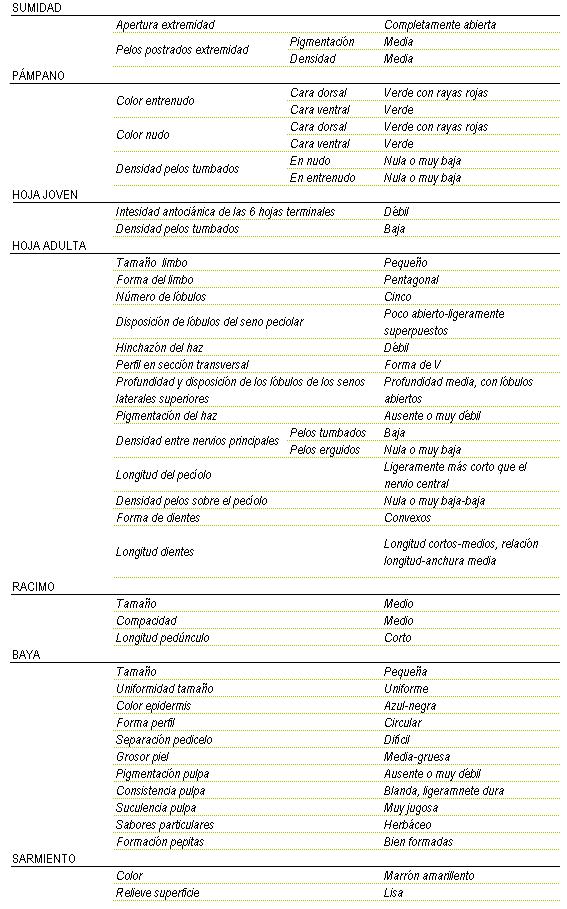 Racimo de tamao y compacidad media, y longitud de pednculo corto. La baya es de tamao media y uniforme, color de la epidermis azul-negra, forma circular, separacin pedicelo dificil, grosor de piel de media a gruesa, pigmentacin de la pulpa ausente o muy dbil, consistencia blanda, ligeramente dura, suculencia muy jugosa,  sabor particular herbceo, y  pepitas bien formadas. Sarmiento de color marrn amarillento y relieve de superficie lisa. Sumidad: apertura de extremidad completamente abierta, los pelos postrados en extremidad tienen una pigmentacin y una densidad media. Pampano: el color del entrenudo en la cara dorsal es verde con rayas rojas, y en la cara ventral verde. El nudo en la cara dorsal es verde con rayas rojas y en la ventral verde, la densidad de pelos tumbados en el nulo y el entrenudo es nula o muy baja. La hoja joven tiene una intensidad antocinica de las 6 hojas terminales dbil, y la densidad de pelos tumbados entre nervios es baja. La hoja adulta tiene el tamao del limbo pequeo de forma pentagonal, cinco lbulos, disposicin de lbulos del seno peciolar de poco abierto a ligeramente superpuestos, hinchazn del haz dbil, perfil en seccin transversal  en forma de V, profundidad media con lobulos abiertos, pigmentacin del haz ausente o muy dbil, Densidad entre nervios principales en los pelos tumbados baja y en los pelos erguidos nula o muy baja, longitud del pecolo ligeramente ms corto que el nervio central, nula o muy baja a  baja densidad de pelos sobre el peciolo, la forma de los dientes a ambos lados convexos y de longitud cortos a medios, relacin longitud - anchura media.
