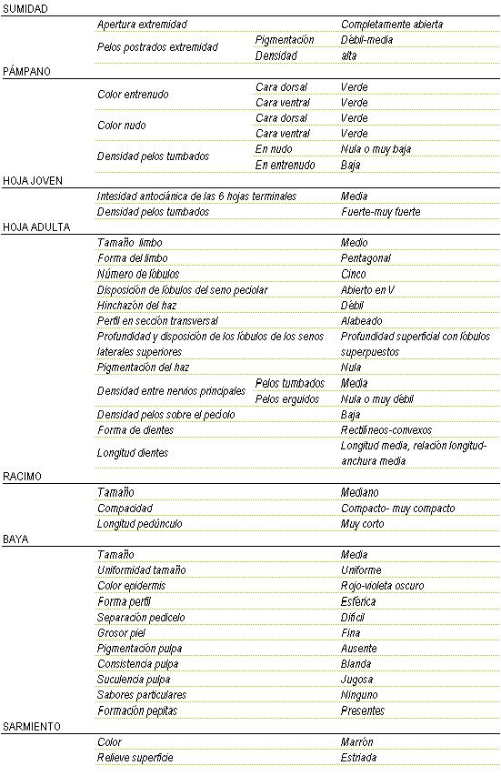 Racimo de tamao mediano, de compacto a muy compacto y longitud de pednculo muy corto. La baya es pequea uniforme, color de la epidermis roja a violeta oscura, forma esferica, separacin pedicelo dificil, piel fina, pigmentacin de la pulpa ausente, consistencia blanda y jugosa, sin sabor particular, y  pepitas presentes. Sarmiento de color marrn y relieve de superficie estriada. Sumidad: apertura de extremidad completamente abierta, los pelos postrados en extremidad tienen una pigmentacin dbil a media y una densidad alta. Pampano: el color del entrenudo  y del nudo tanto en la cara dorsal como en la cara ventral es verde, la densidad de pelos tumbados en el nudo es nula o muy baja y en el entrenudo es baja. La hoja joven tiene una intensidad antocinica de las 6 hojas terminales media, y la densidad de pelos tumbados entre fuerte y muy fuerte. La hoja adulta tiene el tamao del limbo medio de forma pentagonal,  cinco lbulos, disposicin de lbulos del seno peciolar abierto en V, hinchazn del haz dbil, perfil en seccin transversal alabeado, profundidad superficial con lbulos superpuestos, pigmentacin del haz nula, Densidad entre nervios principales en los pelos tumbados media y en los pelos erguidos nula o muy dbil,  baja densidad de pelos sobre el peciolo, la forma de los dientes rectilneos - convexos  y de longitud media, relacin longitud - anchura media.