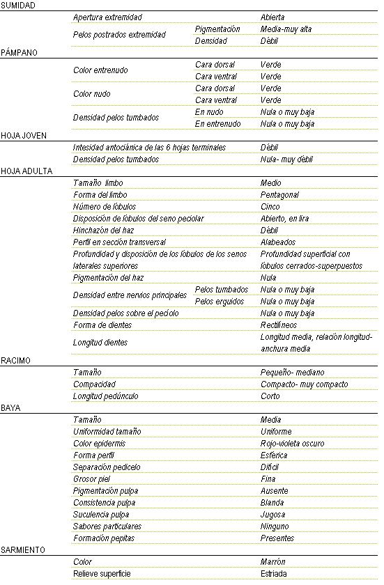 Racimo de tamao pequeo a mediano, de compacto a muy compacto y longitud de pednculo corto. La baya es mediana y uniforme, color de la epidermis rojo a violeta oscura, forma esferica, separacin pedicelo dificil, piel fina, pigmentacin de la pulpa ausente, consistencia blanda y jugosa, sin sabor particular, y  pepitas presentes. Sarmiento de color marrn y relieve de superficie estriada. Sumidad: apertura de extremidad abierta, los pelos postrados en extremidad tienen una pigmentacin media a muy alta y una densidad dbil. Pampano: el color del entrenudo y del nudo tanto en la cara dorsal como en la cara ventral es verde, la densidad de pelos tumbados en el nudo y en el entrenudo es nula o muy baja. La hoja joven tiene una intensidad antocinica de las 6 hojas terminales dbil, y la densidad de pelos tumbados entre nula y muy dbil. La hoja adulta tiene el tamao del limbo medio de forma pentagonal,  cinco lbulos, disposicin de lbulos del seno peciolar abierto en lira, hinchazn del haz dbil, perfil en seccin transversal alabeado, profundidad superficial con lbulos cerrados-superpuestos, pigmentacin del haz nula, Densidad entre nervios principales en los pelos tumbados y en los pelos erguidos nula o muy baja,  nula o muy baja densidad de pelos sobre el peciolo, la forma de los dientes rectilneos y de longitud media, relacin longitud - anchura media.