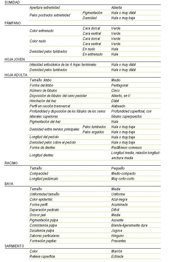 Racimo de tamao pequeo, compacidad de medio a compacto y longitud de pednculo de muy corto a corto. La baya es de tamao medio y uniforme, color de la epidermis azul-negra, forma acuminada, separacin pedicelo dificil, grosor de piel medio, pigmentacin de la pulpa ausente, consistencia blanda a ligeramente dura y jugosa, sin sabor particular, y pepitas presentes. Sarmiento de color marron y relieve de superficie estriada. Sumidad: apertura de extremidad abierta, los pelos postrados en extremidad tienen una pigmentacin  y densidad nula o muy baja. Pampano: el color del entrenudo y del nulo tanto en la cara dorsal como  en la ventral es verde, la densidad de pelos tumbados en el nudo y en el entrenudo es nula. La hoja joven tiene una intensidad antocinica de las 6 hojas terminales nula o muy dbil, y la densidad de pelos tumbados entre nervios nula o muy dbil. La hoja adulta tiene el tamao del limbo medio de forma pentagonal, cinco lbulos, disposicin de lbulos del seno peciolar abierto, en V, hinchazn del haz dbil, perfil en seccin transversal alabeado, profundidad superficial, con lbulos superpuestos, pigmentacin del haz nula, Densidad entre nervios principales en los pelos tumbados y rigidos nula o muy baja, longitud del peciolo nula o muy baja y densidad de pelos sobre el peciolo nula o muy baja, la forma de los dientes entre rectilineos y convexos de longitud medio larga, relacin longitud - anchura media.