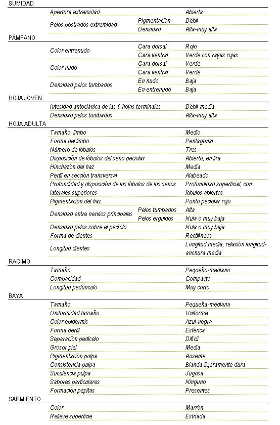 Racimo de tamao pequeo a mediano, compacto y longitud de pednculo muy corto. La baya es de pequea a mediana y uniforme, color de la epidermis azul-negra, forma esferica, separacin pedicelo dificil, grosor de piel media, pigmentacin de la pulpa ausente, consistencia blanda a ligeramente dura y jugosa, sin sabor particular, y pepitas presentes. Sarmiento de color marron y relieve de superficie estriada. Sumidad: apertura de extremidad  abierta, los pelos postrados en extremidad tienen una pigmentacin debil y una densidad alta a muy alta. Pampano: el color del entrenudo en la cara dorsal rojo y en la cara ventral verde con rayas rojas y el del nulo tanto en la cara dorsal como en la ventral es verde, la densidad de pelos tumbados en el nudo y en el entrenudo es baja. La hoja joven tiene una intensidad antocinica de las 6 hojas terminales dbil a media, y la densidad de pelos tumbados alta a muy alta. La hoja adulta tiene el tamao del limbo medio de forma pentagonal, tres lbulos, disposicin de lbulos del seno peciolar abierto, en lira, hinchazn del haz media, perfil en seccin transversal alabeado, profundidad superficial con lbulos abiertos, pigmentacin del haz punto peciolar rojo, Densidad entre nervios principales en los pelos tumbados alta y en los pelos erguidos nula o muy baja,  densidad de pelos sobre el peciolo nula o muy baja, la forma de los dientes  rectilineos de longitud media, relacin longitud - anchura media.