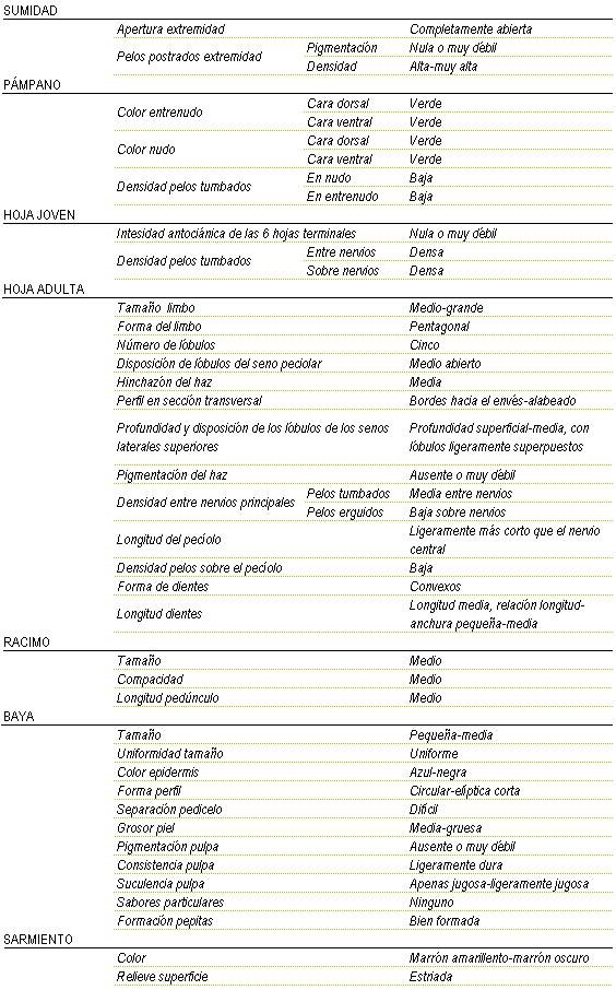 Racimo de tamao medio, compacidad media y longitud de pednculo medio. La baya es de pequea a media y uniforme, color de la epidermis azul-negra, forma circular a elptica corta, separacin pedicelo dificil, grosor de piel de media a gruesa, pigmentacin de la pulpa ausente o muy dbil, consistencia ligeramente dura y apenas jugosa a ligeramente jugosa, sin sabor particular y pepitas bien formadas. Sarmiento de color marron amarillento a marrn oscuro y relieve de superficie estriado. Sumidad: apertura de extremidad completamente abierta, los pelos postrados en extremidad tienen una pigmentacin nula o muy dbil y una densidad alta a muy alta. Pampano: el color del entrenudo y del nulo en la cara dorsal y en la ventral es verde, la densidad de pelos tumbados en el nudo y en el entrenudo es baja. La hoja joven tiene una intensidad antocinica de las 6 hojas terminales nula o muy dbil, y la densidad de pelos tumbados entre nervios y sobre nervios es densa. La hoja adulta tiene el tamao del limbo medio a grande de forma pentagonal, cinco lbulos, disposicin de lbulos del seno peciolar medio abierto, hinchazn del haz media, perfil en seccin transversal bordes hacia el envs - alabeado, profundidad superficial- media con lbulos ligeramente superpuestos, pigmentacin del haz ausente o muy dbil, Densidad entre nervios principales en los pelos tumbados media entre nervios y en los pelos erguidos baja sobre nervios, ligeramente ms corto que le nervio central, densidad de pelos sobre el peciolo baja, la forma de los dientes son convexos de longitud media, relacin longitud - anchura pequea a media.