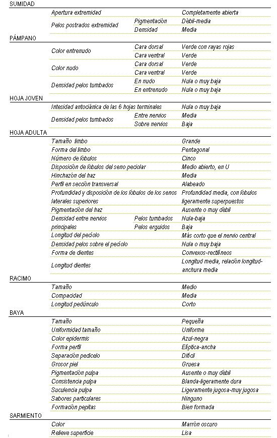 Racimo de tamao medio, compacidad media y longitud de pednculo corto. La baya es pequea y uniforme, color de la epidermis azul-negra, forma eliptica - ancha, separacin pedicelo dificil, de piel gruesa, pigmentacin de la pulpa ausente o muy dbil, consistencia blanda a ligeramente dura y ligeramente jugosa a muy jugosa, sin sabor particular, y pepitas bien formadas. Sarmiento de color marron oscuro y relieve de superficie liso. Sumidad: apertura de extremidad completamente abierta, los pelos postrados en extremidad tienen una pigmentacin debil a media y una densidad media. Pampano: el color del entrenudo en la cara dorsal es verde con rayas rojas y en la cara ventral verde y el del nulo tanto en la cara dorsal como  en la ventral es verde, la densidad de pelos tumbados en el nudo y en el entrenudo es nula o muy baja. La hoja joven tiene una intensidad antocinica de las 6 hojas terminales nula o muy baja, y la densidad de pelos tumbados entre nervios media, y sobre nervios baja. La hoja adulta tiene el tamao del limbo grande de forma pentagonal, cinco lbulos, disposicin de lbulos del seno peciolar medio abierto, en U, hinchazn del haz media, perfil en seccin transversal alabeado, profundidad media con lbulos ligeramente superpuestos, pigmentacin del haz ausente o muy dbil, Densidad entre nervios principales en los pelos tumbados nula a baja y en los pelos erguidos baja, longitud del peciolo ms corto que el nervio central y densidad de pelos sobre el peciolo nula o muy baja, la forma de los dientes entre convexos y rectilineos de longitud medio, relacin longitud - anchura media.