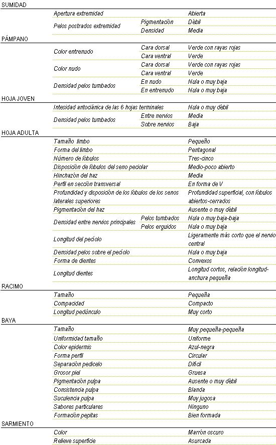 Racimo de tamao pequeo, compacto y longitud de pednculo muy corto. La baya es muy pequea a pequea y uniforme, color de la epidermis azul-negra, forma circular, separacin pedicelo dificil, piel gruesa, pigmentacin de la pulpa ausente o muy dbil, consistencia blanda y muy jugosa, sin sabor particular, y pepitas bien formadas. Sarmiento de color marron oscuro y relieve de superficie asurcada. Sumidad: apertura de extremidad abierta, los pelos postrados en extremidad tienen una pigmentacin debil y una densidad media. Pampano: el color del entrenudo en la cara dorsal es verde con rayas rojas y en la cara ventral verde y el del nulo en la cara dorsal verde con rayas rojas y en la ventral es verde, la densidad de pelos tumbados en el nudo y en el entrenudo nula o muy baja. La hoja joven tiene una intensidad antocinica de las 6 hojas terminales nula o muy dbil, y la densidad de pelos tumbados entre nervios es media y sobre nervios baja. La hoja adulta tiene el tamao del limbo pequeo de forma pentagonal, de tres a cinco lbulos, disposicin de lbulos del seno peciolar medio a poco abierto, hinchazn del haz medio, perfil en seccin transversal en forma de V, profundidad superficial con lbulos abiertos-cerrados, pigmentacin del haz ausente o muy dbil, Densidad entre nervios principales en los pelos tumbados nula o muy baja a baja y en los pelos erguidos nula o muy baja, densidad de pelos sobre el peciolo nula o muy baja, la forma de los dientes convexos de longitud cortos, relacin longitud - anchura pequea.