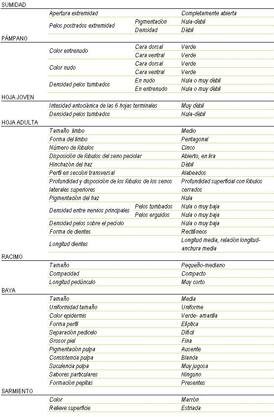Racimo de tama�o peque�o a mediano, compacto y longitud de ped�nculo muy corto. La baya es de tama�o medio y uniforme, color de la epidermis verde - amarilla, forma eliptica, separaci�n pedicelo dificil, piel fina, pigmentaci�n de la pulpa ausente, consistencia blanda y muy jugosa, sin sabor particular, y  pepitas presentes. Sarmiento de color marr�n y relieve de superficie estriada. Sumidad: apertura de extremidad completamente abierta, los pelos postrados en extremidad tienen una pigmentaci�n nula a d�bil y una densidad d�bil. Pampano: el color del entrenudo y del nudo en la cara dorsal y en la cara ventral es verde, la densidad de pelos tumbados en el nudo y el entrenudo es nula o muy d�bil. La hoja joven tiene una intensidad antoci�nica de las 6 hojas terminales muy d�bil, y la densidad de pelos tumbados nula a d�bil. La hoja adulta tiene el tama�o del limbo medio de forma pentagonal, cinco l�bulos, disposici�n de l�bulos del seno peciolar abierto, en lira, hinchaz�n del haz d�bil, perfil en secci�n transversal alabeado, profundidad superficial, con l�bulos cerrados, pigmentaci�n del haz nula, Densidad entre nervios principales en los pelos tumbados y en los pelos erguidos nula o muy baja, nula o muy baja densidad de pelos sobre el peciolo, la forma de los dientes rectil�neos  y de longitud media, relaci�n longitud - anchura media.