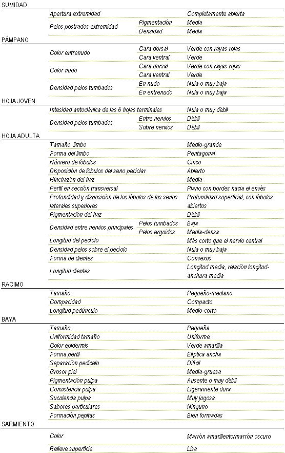 Racimo de tama�o peque�o a mediano, compacto y longitud de ped�nculo medio - corto. La baya es peque�a y uniforme, color de la epidermis verde-amarilla, forma eliptica ancha, separaci�n pedicelo dificil, grosor de piel media - gruesa, pigmentaci�n de la pulpa ausente o muy d�bil, consistencia ligeramente dura y muy jugosa, sin sabor particular, y pepitas bien formadas. Sarmiento de color marron amarillento/marr�n oscuro y relieve de superficie lisa. Sumidad: apertura de extremidad completamente abierta, los pelos postrados en extremidad tienen una pigmentaci�n media y una densidad media. Pampano: el color del entrenudo en la cara dorsal es  verde con rayas rojas y en cara ventral verde, color del nudo en la cara dorsal verde con rayas rojas y en la cara ventral verde, la densidad de pelos tumbados en el nudo y en el entrenudo es nula o muy baja. La hoja joven tiene una intensidad antoci�nica de las 6 hojas terminales nula o muy d�bil, y la densidad de pelos tumbados entre nervios y sobre nervios es d�bil. La hoja adulta tiene el tama�o del limbo medio a grande de forma pentagonal, cinco l�bulos, disposici�n de l�bulos del seno peciolar abierto, hinchaz�n del haz medio, perfil en secci�n transversal plano con bordes hacia el env�s, profundidad superficial con l�bulos abiertos, pigmentaci�n del haz d�bil, Densidad entre nervios principales en los pelos tumbados baja y en los pelos erguidos media - densa, nula o muy baja densidad de pelos sobre el peciolo, la forma de los dientes convexos y de longitud media, relaci�n longitud - anchura media.