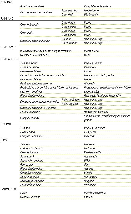 Racimo de tama�o peque�o a mediano, compacto y longitud de ped�nculo muy corto. La baya es mediana y uniforme, color de la epidermis verde amarilla, forma acuminada, separaci�n pedicelo dificil, grosor de piel fina, pigmentaci�n de la pulpa ausente, consistencia blanda y muy jugosa, sin sabor particular y pepitas presentes. Sarmiento de color marr�n amarillento y relieve de superficie estriada. Sumidad: apertura de extremidad completamente abierta, los pelos postrados en extremidad tienen una pigmentaci�n media a fuerte y una densidad d�bil a media. Pampano: el color del entrenudo y del nudo en la cara dorsal y en la ventral es verde, la densidad de pelos tumbados en el nudo nula o muy baja y en entrenudo es nula o muy baja. La hoja joven tiene una intensidad antoci�nica de las 6 hojas terminales media a fuerte, la densidad de pelos tumbados es d�bil. La hoja adulta tiene el tama�o del limbo peque�o a medio de forma pentagonal, cinco l�bulos, disposici�n de l�bulos del seno peciolar medio a poco abierto, en lira, hinchaz�n del haz media, perfil en secci�n transversal alabeado, profundidad superficial a media, con l�bulos superpuestos, pigmentaci�n del haz rojo hasta la primera bifurcaci�n. Densidad entre nervios principales en los pelos tumbados nula o muy baja y en los pelos erguidos nula o muy baja, densidad pelos sobre peciolo nula o muy baja, la forma de los dientes son rectilineos a convexos de longitud larga, relaci�n longitud - anchura grande.