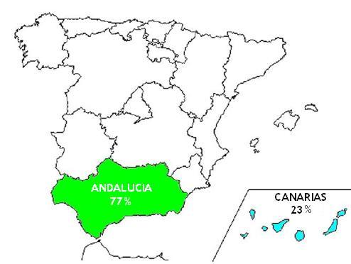 En Andaluca est el 77 por ciento de la superficie de cultivo de mango, seguido por Canarias con el 23 por ciento restante. Datos correspondientes al ESYRCE, ao 2007.
