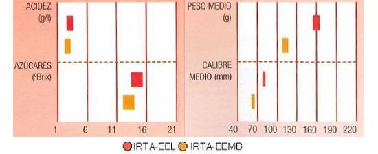 Los resultados de ensayos del IRTA en Lleida y en Mas Badia muestran los siguientes parmetros de calidad: contenido en azcares alto, en cidos muy bajo, calibre medio alto y peso del fruto de 110 a 160 gramos.