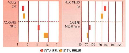 Los resultados de los ensayos del IRTA en Lleida y Mas Badia muestran los siguientes parmetros de calidad  contenido en azcares bueno, y bajo en acidez. El calibre en torno a 70 milmetros y el peso medio de 130 a 150 gramos.