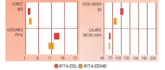 Los resultados de los ensayos del IRTA en Lleida y Mas Badia muestran los siguientes parmetros de calidad  contenido en azcares bueno, y bajo en acidez. El calibre en torno a 60 milmetros y el peso medio alrededor de 80 a 100 gramos.