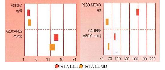 Los resultados de los ensayos del IRTA en Lleida y Mas Badia muestran los siguientes parmetros de calidad  contenido en azcares bueno, y bajo en acidez. El calibre 60 a 80 milmetros y el peso puede llegar a 160 gramos.