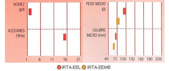 Los resultados de los ensayos del IRTA en Lleida y Mas Badia muestran los siguientes parmetros de calidad  contenido en azcares bueno, y bajo en acidez. El calibre 50 a 70 milmetros y el peso puede vara de 70 a 100  gramos.