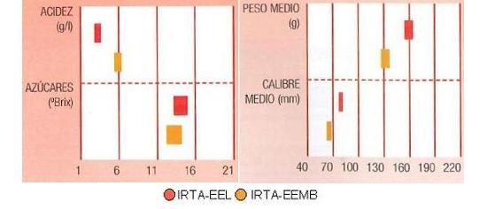 Los resultados de los ensayos del IRTA en Lleida y Mas Badia muestran los siguientes parmetros de calidad  contenido en azcares elevado y bajo en cidos. El calibre vara de 70 a 80 milmetros y el peso medio es de 150 gramos.