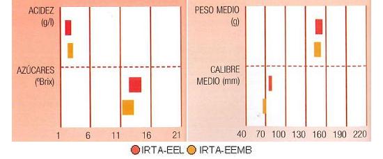 Los resultados de ensayos del IRTA en Lleida y en Mas Badia muestran los siguientes parmetros de calidad: contenido en azcares alto, en cidos muy bajo, calibre de 70 a 80 milmetrosy peso del fruto de 150 gramos.