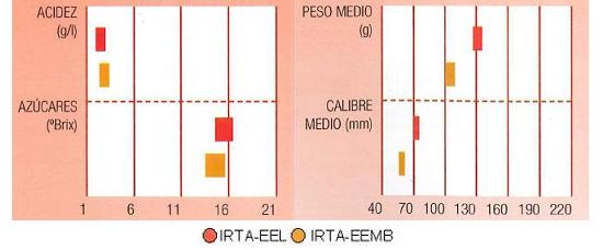 Los resultados de ensayos del IRTA en Lleida y en Mas Badia muestran los siguientes parmetros de calidad: contenido en azcares alto, en cidos muy bajo, calibre de 60 a 80 milmetrosy peso del fruto de 100 a 130 gramos.