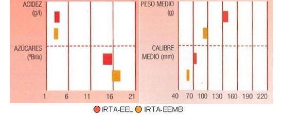 Los resultados de ensayos del IRTA en Lleida y en Mas Badia muestran los siguientes parmetros de calidad: contenido en azcares alto, en cidos muy bajo, calibre de 60 a 80 milmetrosy peso del fruto de 100 a 130 gramos.