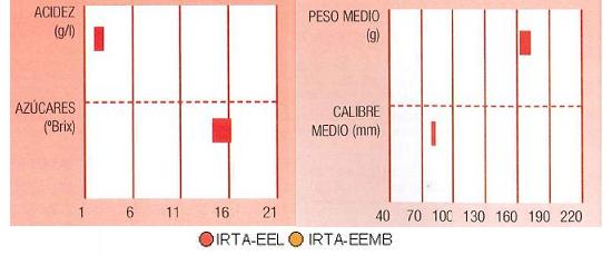 Los resultados de ensayos del IRTA en Lleida y en Mas Badia muestran los siguientes parmetros de calidad: contenido en azcares alto, en cidos muy bajo, calibre de 80 milmetrosy peso del fruto de 160 gramos.