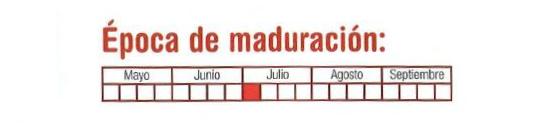 La poca de maduracin es la primera semana de julio.