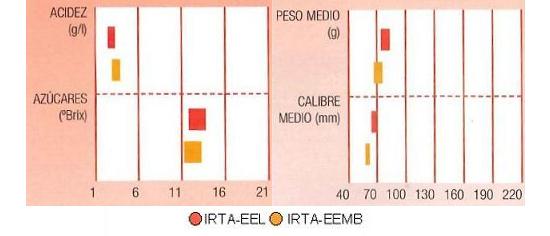 Los resultados de los ensayos del IRTA en Lleida y Mas Badia muestran los siguientes parmetros de calidad  contenido en azcares bueno, y bajo en acidez. El calibre 60 a 70 milmetros y el peso puede llegar a 80 gramos.