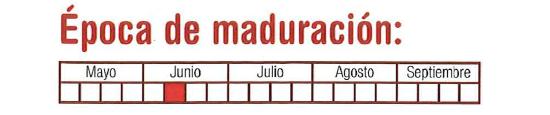 La poca de maduracin es la segunda semana de junio.