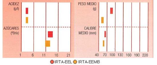 Los resultados de los ensayos del IRTA en Lleida y Mas Badia muestran los siguientes parmetros de calidad  contenido en azcares bueno, y bajo en acidez. El calibre de menos de 70 milmetros y el peso puede llegar a de 60 a 80 gramos.