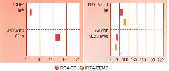 Los resultados de los ensayos del IRTA en Lleida y Mas Badia muestran los siguientes parmetros de calidad  contenido en azcares bueno, y bajo en acidez. El calibre en torno a 60 milmetros y el peso medio alrededor de de ms de 100 gramos.
