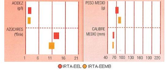 Los resultados de los ensayos del IRTA en Lleida y Mas Badia muestran los siguientes parmetros de calidad  contenido en azcares bueno, y de medio a bajo en acidez. El calibre de menos de 70 milmetros y el peso puede vara de 40 a 70 gramos.