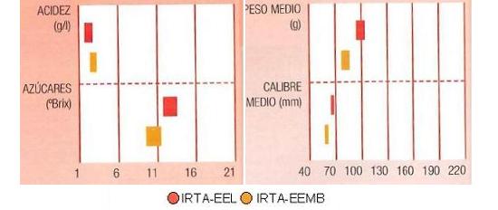 Los resultados de los ensayos del IRTA en Lleida y Mas Badia muestran los siguientes parmetros de calidad  contenido en azcares bueno, y  bajo en acidez. El calibre de menos de 70 milmetros y el peso puede vara de 80 a 100 gramos.